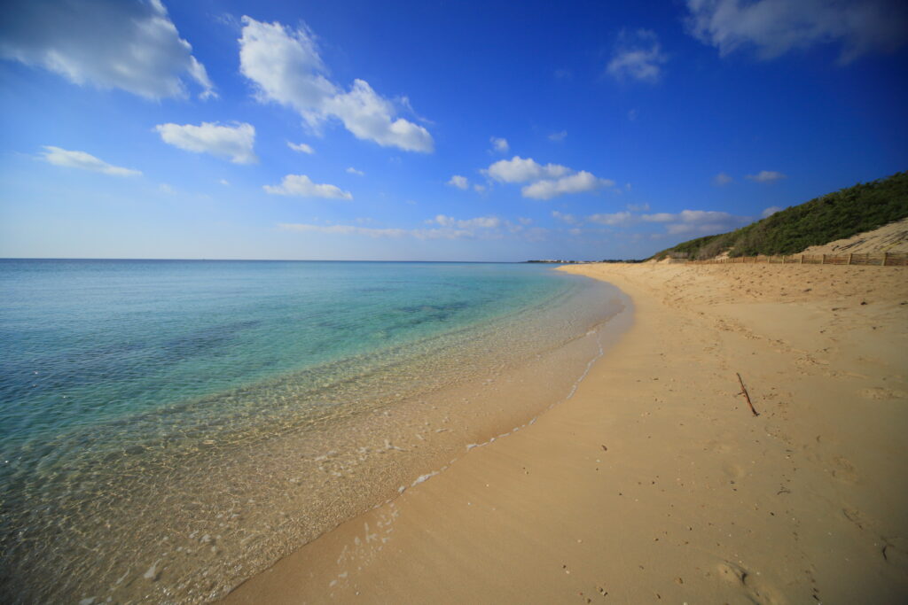punta-prosciutto-porto-cesareo
