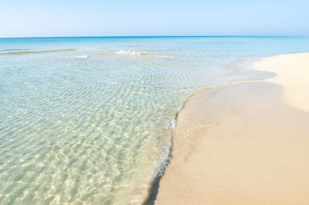 spiaggia-pescoluse